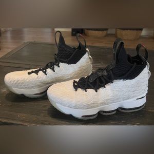 LeBron 15